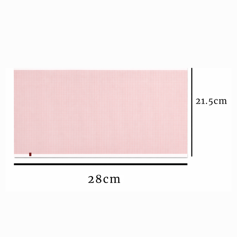 Lessa Papel Para EKG de 215 mm x 280 mm