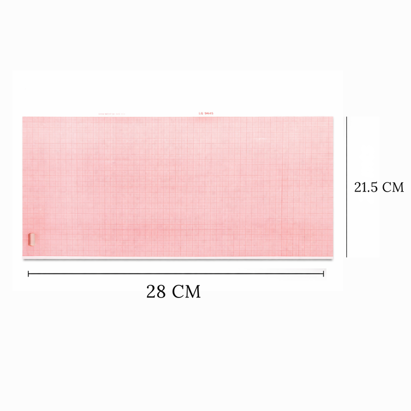 Lessa Papel Perforado de 215 mm x 280 mm